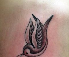 Golondrina con iniciales