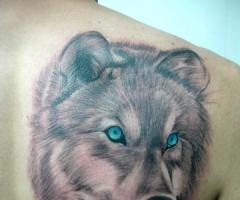 Tattoo de lobo realista