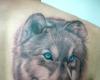 Tattoo de lobo realista