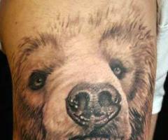 Bear tattoo