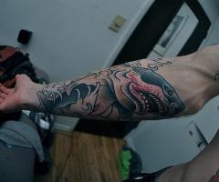 Cool shark