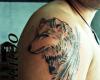 Lobo