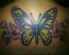 Mariposa