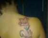 Lilium tatoo