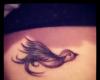 Love bird