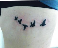 Tatuaje de Gaviotas