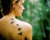 http://www.tattooset.com/images/tattoo/2012/06/02/4141-birds-on-back_tiny.jpg
