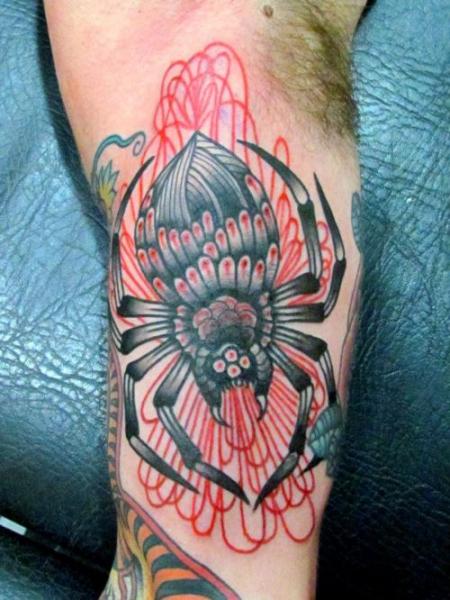 Traditional spider