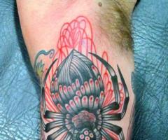 Traditional spider