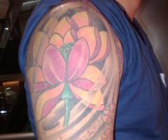 Flor de loto