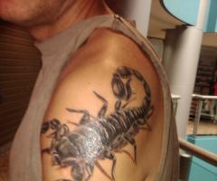 Escorpion en 3D