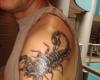 Escorpion en 3D