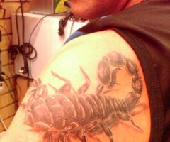 Escorpion