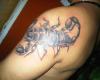 Escorpion en el brazo