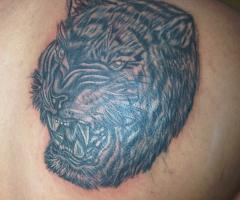 Tattoo de Tigre en la espalda