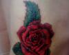 Tattoo Rosa