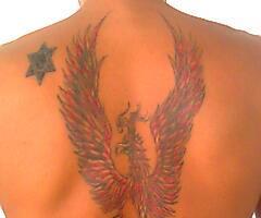 Ave fenix full color en la espalda