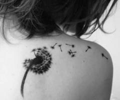 Volar