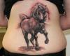 Horse tattoo from Auckland International Tattoo Convention