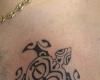 Tortue polynesienne