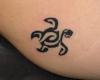Tatouage tortues