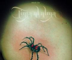 Araña tatuajes