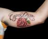 Carpe Diem con rosa roja