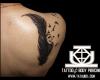 Pluma y aves tatuajes