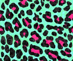 leopard