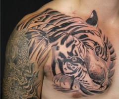 My Tiger Tattoo on my shoulder