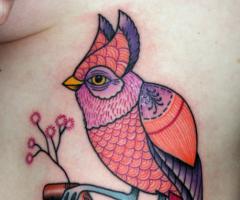 Pajaro hermoso