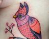 Pajaro hermoso