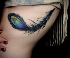 Pluma de pavo