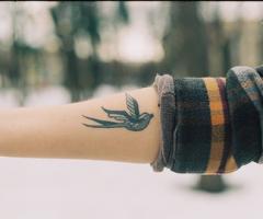 Golondrina