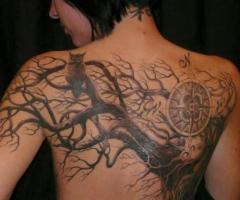 Tree and compass