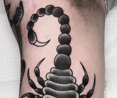 Scorpion black and white