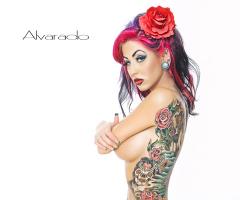 Alvarado Model