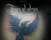 Fenix