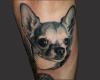 chihuha tattoo
