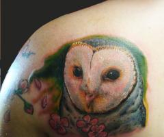 owl tattoo