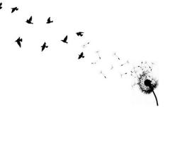 Dandelion tattoo ideas