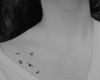Passaros tattoo