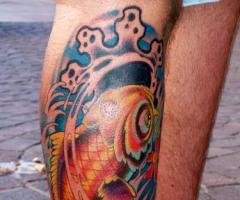 Koi Karpfen