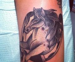 Retrato de Caballo