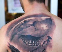 shark