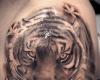Tigre