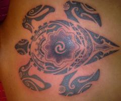 Tortuga maori