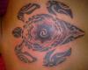 Tortuga maori