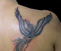 Phoenix tattoos for men and women