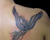 Ave fenix